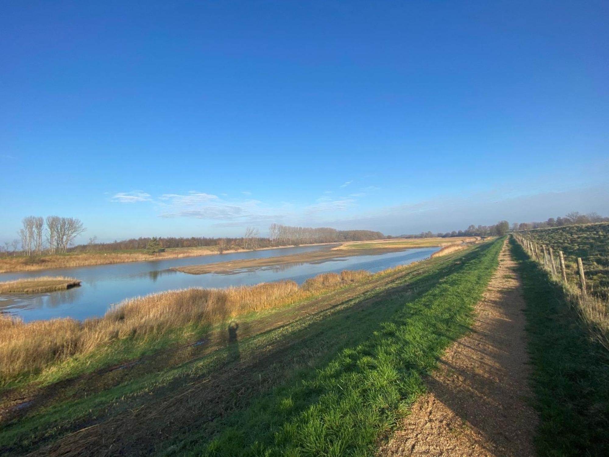 De Zeeparel By Interhome Scherpenisse